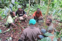 TRAINING_YAPKEMA_2_Petani kader Yapkema melakukan praktek pembuatan rorak untuk pemupukan pohon kopi-yapkema.dok